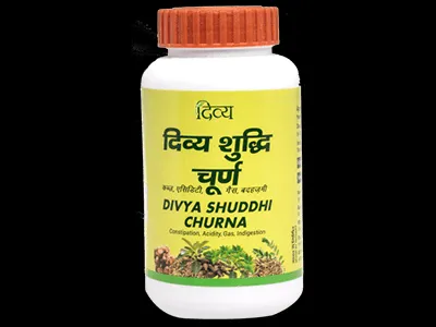 Patanjali Divya Shuddhi Churna 100G