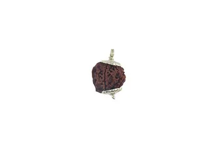 Patanjali Ganesha Rudraksha With Cap-Paudjwkpjs1915163 Freesize
