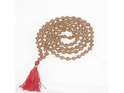 Patanjali Rudraksh Water Beads-Paudjwkbds1915179 Freesize