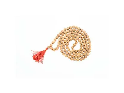 Patanjali Rudraksha 5 Mukhi Mala 7 Freesize