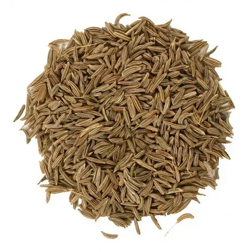 Caraway Seeds ( Shaahi Jeera) – 100 Gm