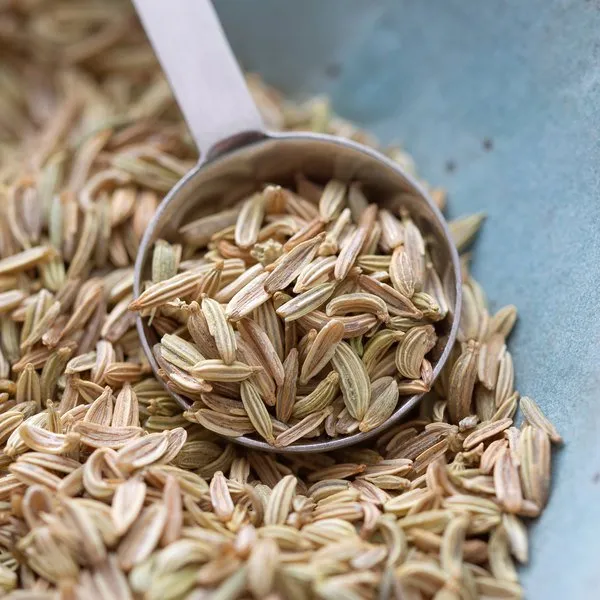 Fennel Seeds ( Saunf) – 100 Gm (Poly Box)