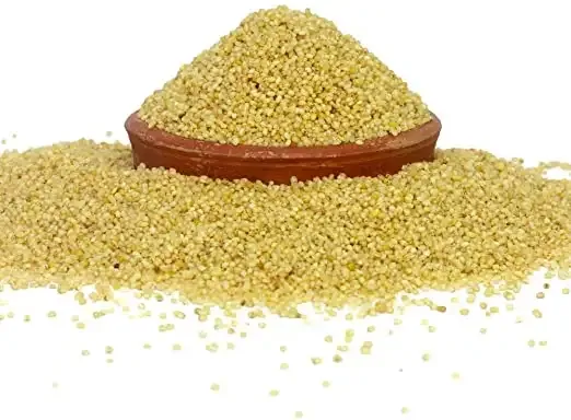 Korralu (Foxtail Millets) – 1300 Gm (Pet Jar)