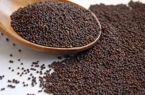 Mustard Seeds – 500 Gm