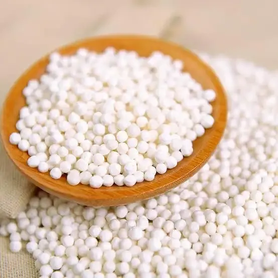 Sago Seeds – Medium – 650 Gm