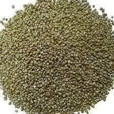 Sajjalu – 1300 Gm (Pet Jar)