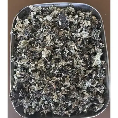Stone Flower (Pathar Phool) – 50 Gm (Poly Box)