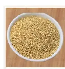 Udalu (Barnyard Millets) – 700 Gm (Pet Jar)