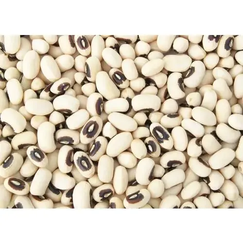 White Lobiya ( Bobbarlu ) – 500 Gm (Poly Box)