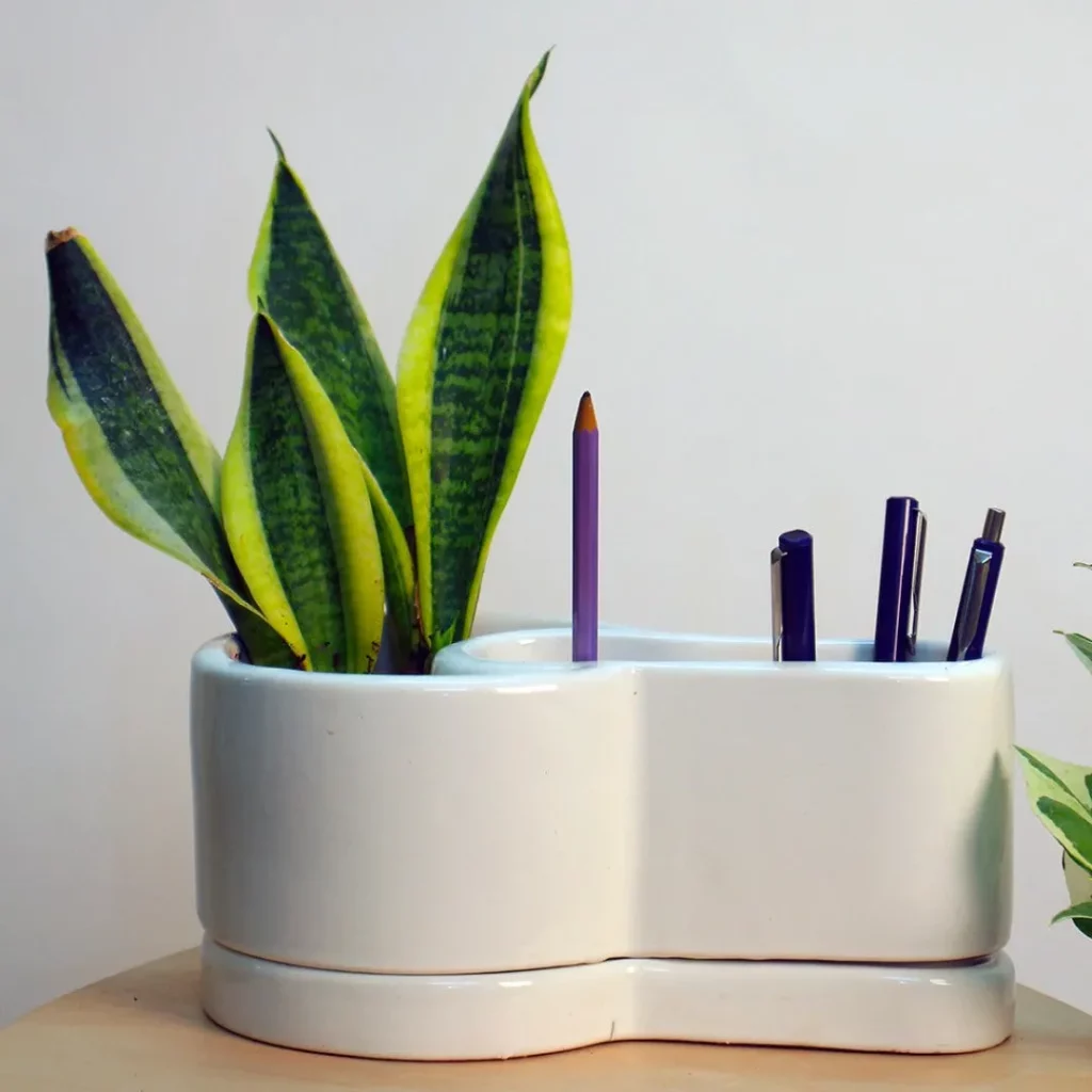 Table Decor | Small Ceramic Planter With Pen Stand