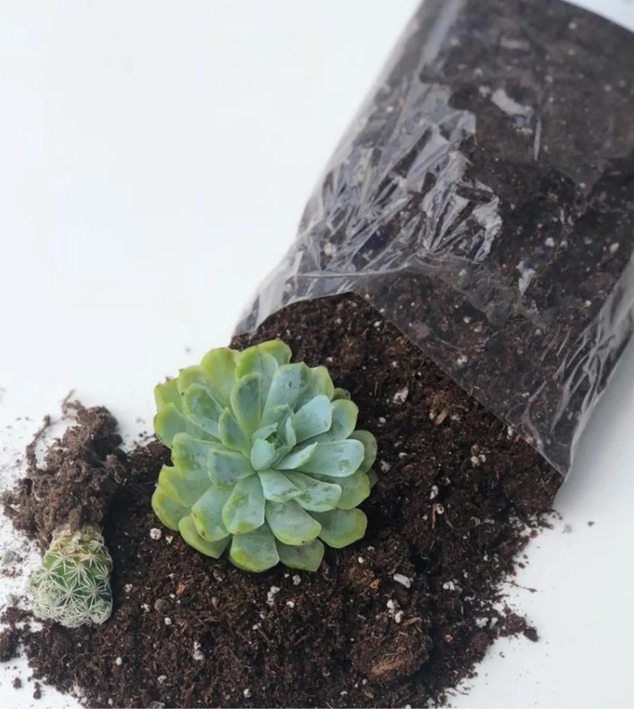 Succulent Soil Mix 500 Grams