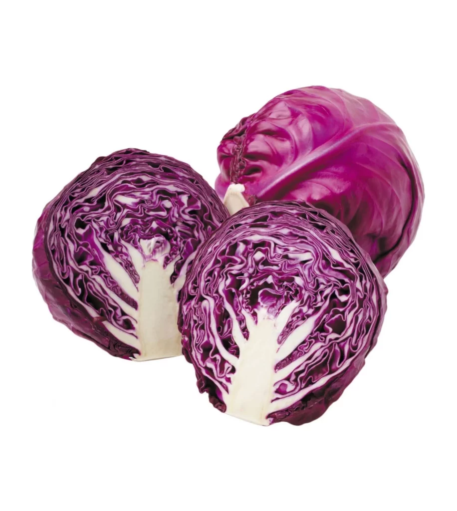 Red Cabbage 10 Seeds