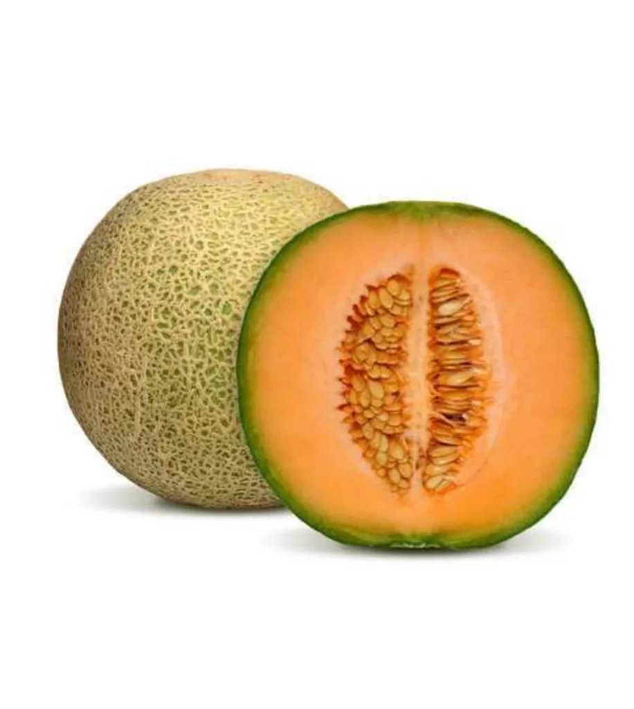 Muskmelon 10 Seeds