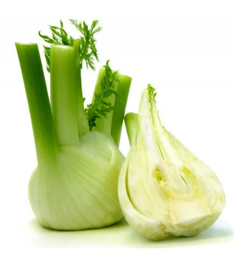 Premium Herb Seeds – Sweet Fennel 10 Seeds