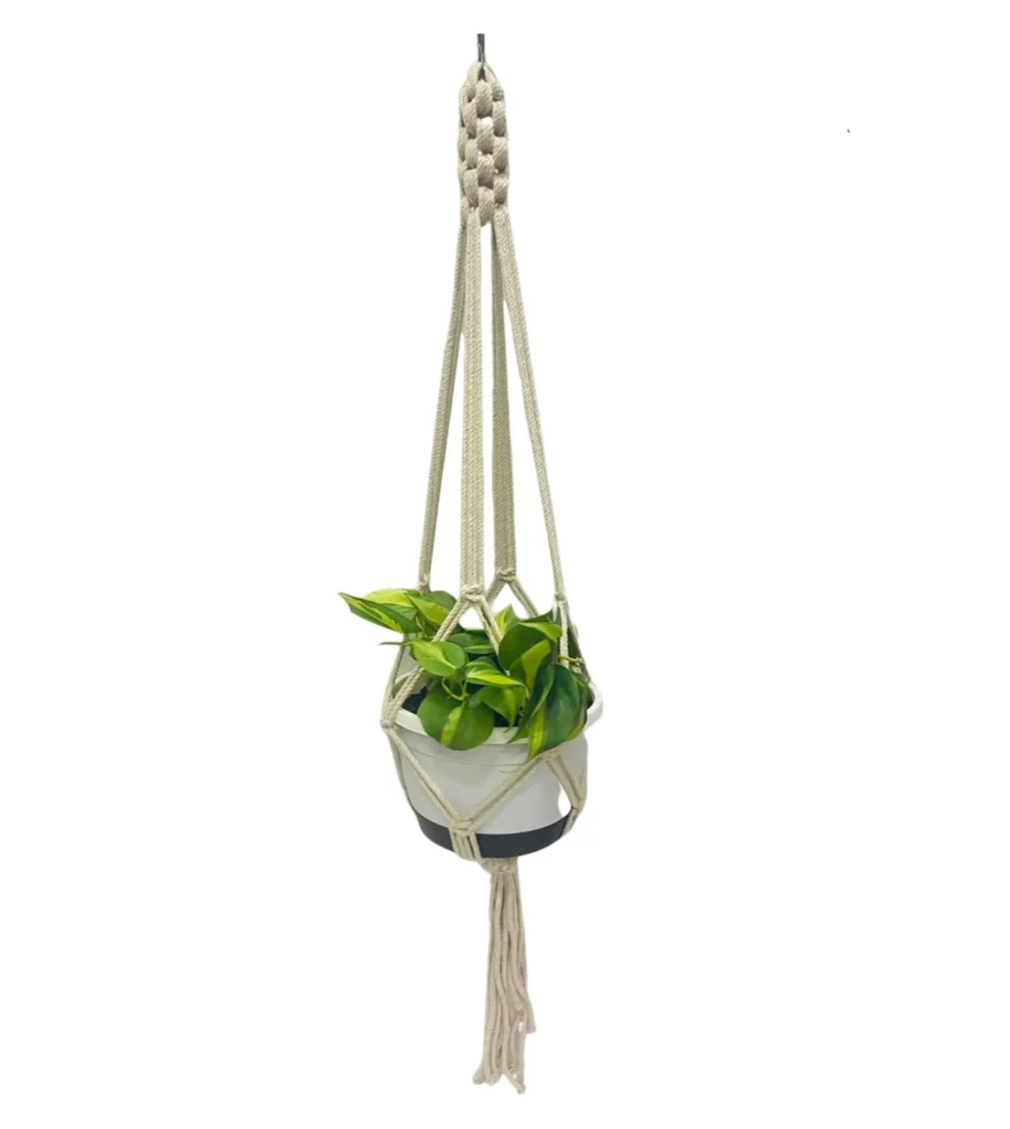 Macrami Plant Hanger-3