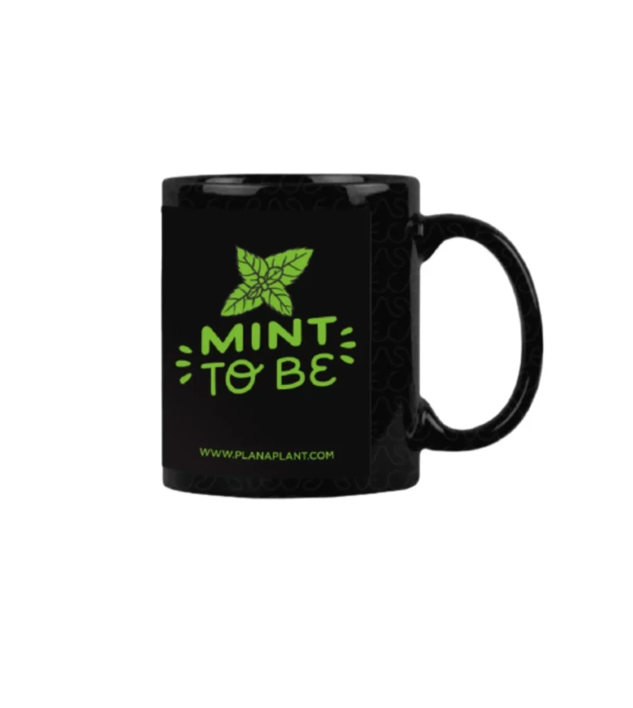 Mint To Be Jar