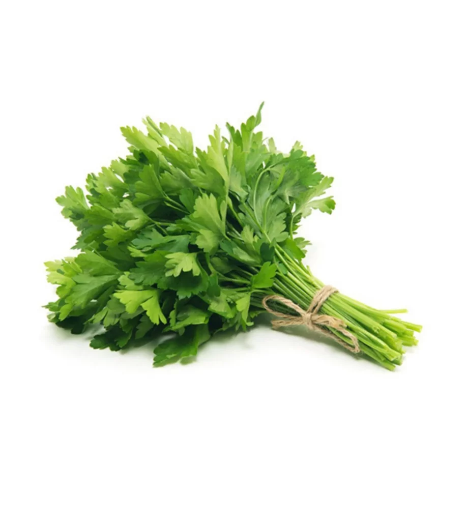 Parsley Flat 10  Seeds