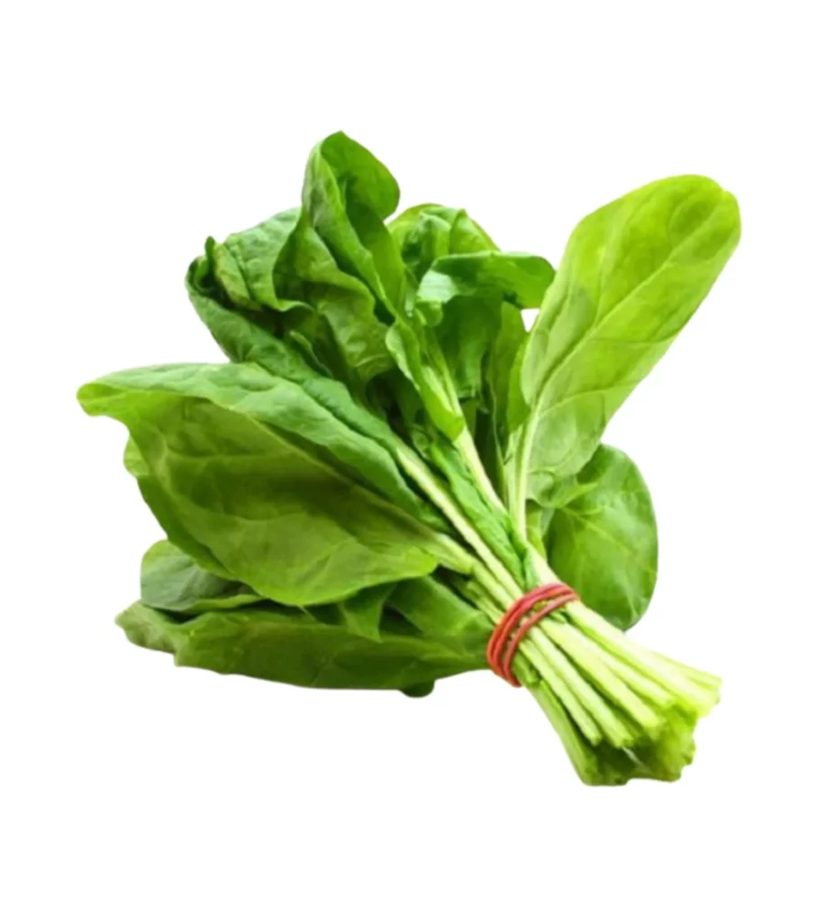 Palak-Spinach 10 Seeds