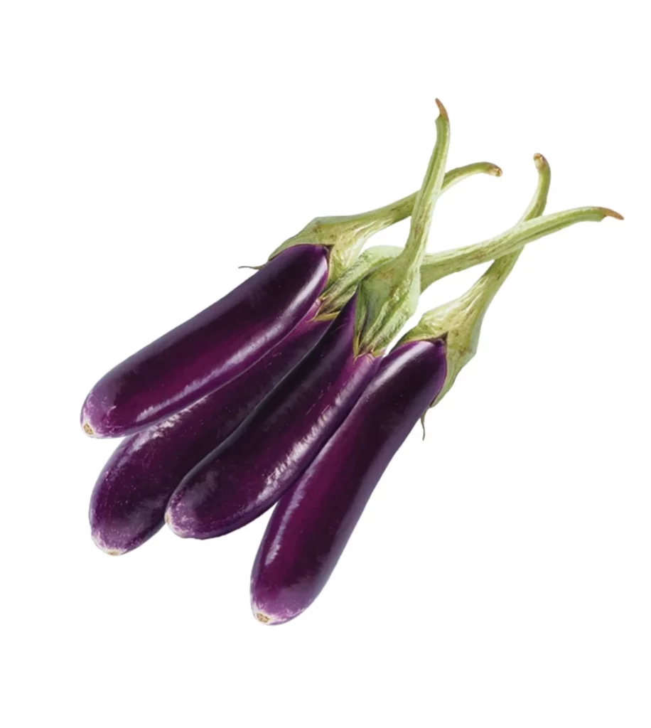 Brinjal Long 10 Seeds