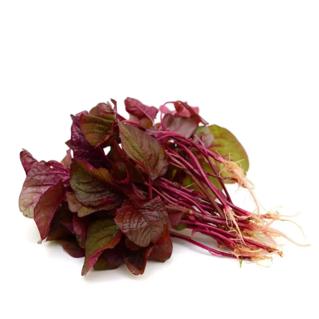 Amaranthus Red 10 Seeds
