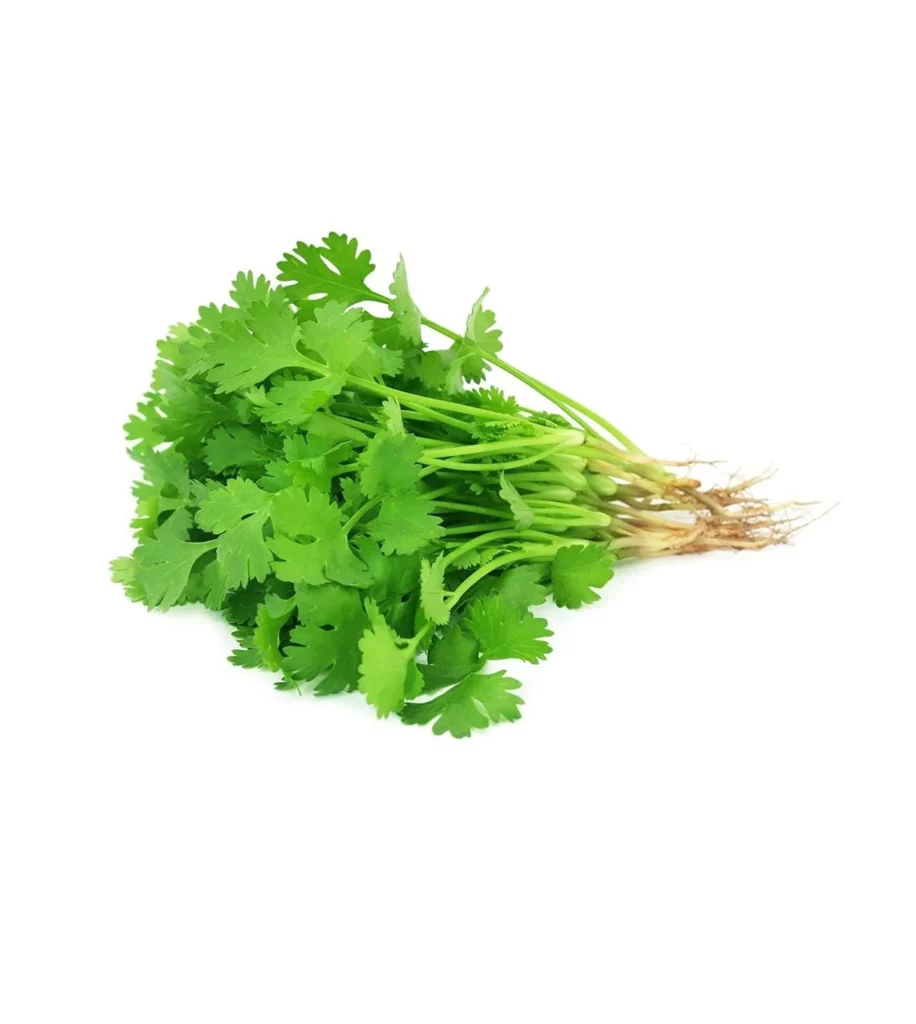 Coriander 10  Seeds