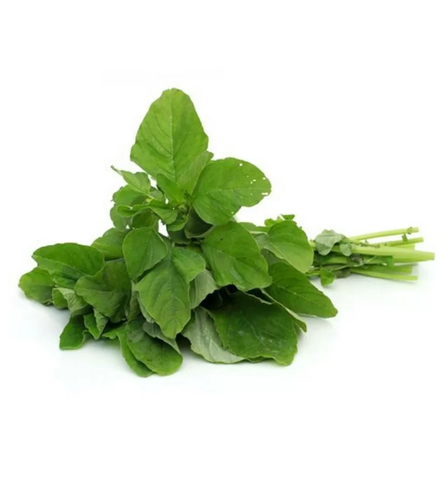 Amaranthus Green 10 Seeds