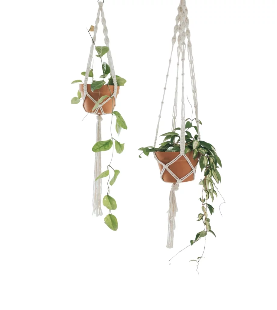 Macrami Plant Hangers Set Of 2