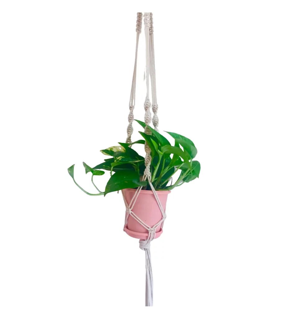 Macrami Plant Hanger-1
