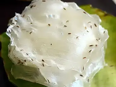 Rice Appalam – Rice Papad – 200 Gm