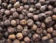 Sundakkai Vathal – 100 Gm