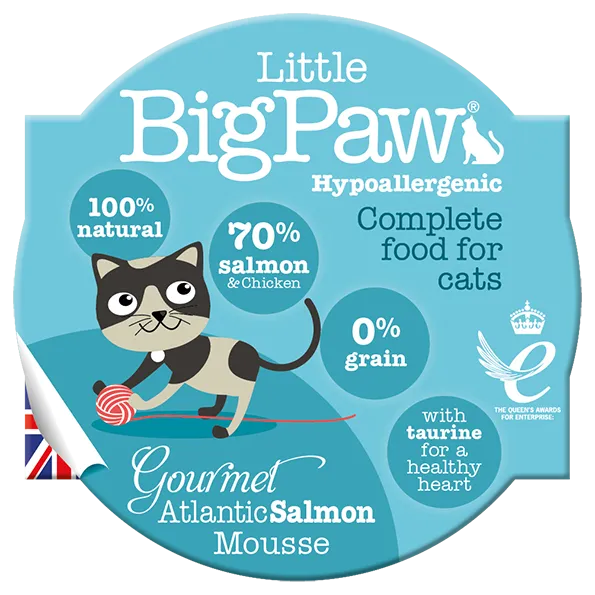 Little Big Paw Gourmet Atlantic Salmon Mousse Cup  Adult Cat 85g