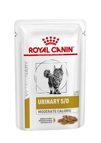Royal Canin Urinary S – O moderate Calorie Pouch   Cat   Adult Cat 85g