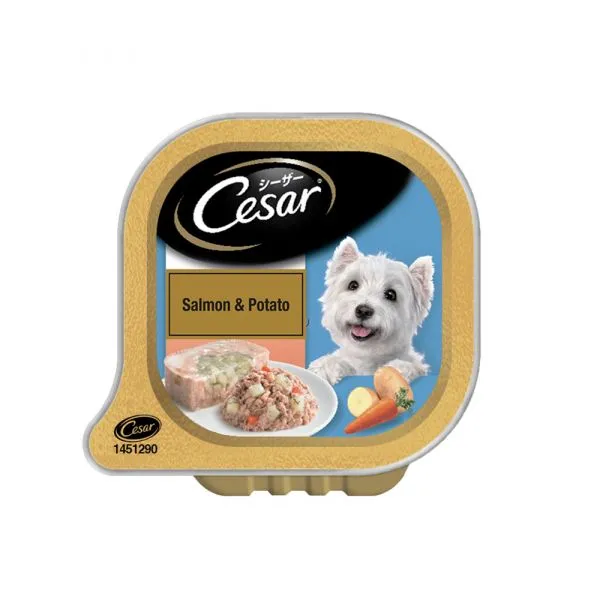 Cesar Salmon  and  Potato – Cup Adult Dog 100g