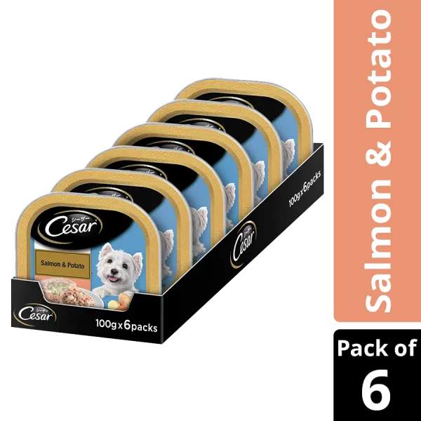 Cesar Salmon  and  Potato – Cup  Pouch  Pack of 16 Adult Dog