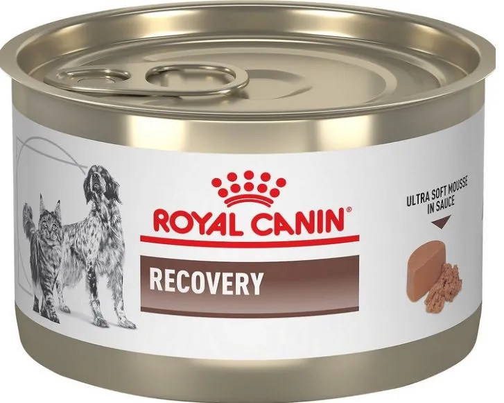 Royal Canin Recovery Canned Food Dogs and Cats Adult Dog 195g