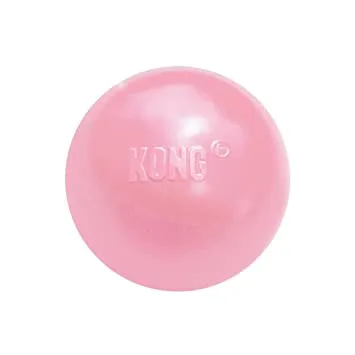 Kong Puppy Ball With Hole All Ages