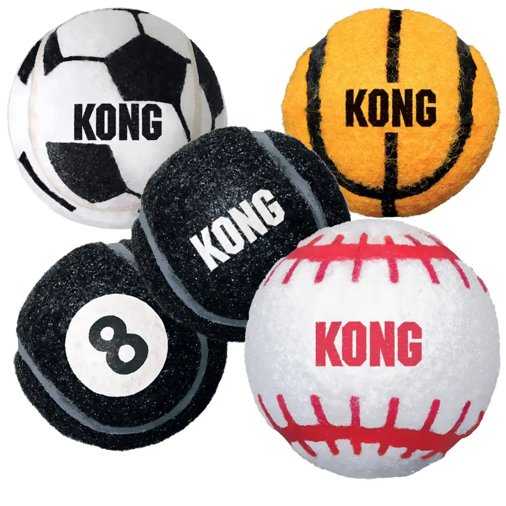 Kong Sport Ball All Ages