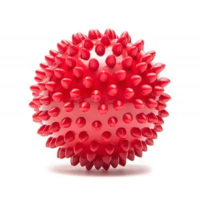 Smarty Pet Rubber Spike Ball All Ages