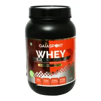 Gaia Sport Whey Irish Chocolate Protein – 1 kg
