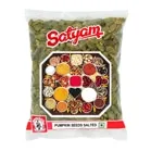 Satyam Pumpkin Seeds Salted – 100 gms