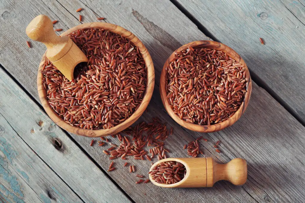 Red Cargo Rice