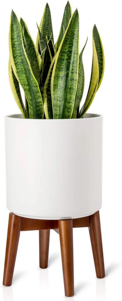 Plant Stand