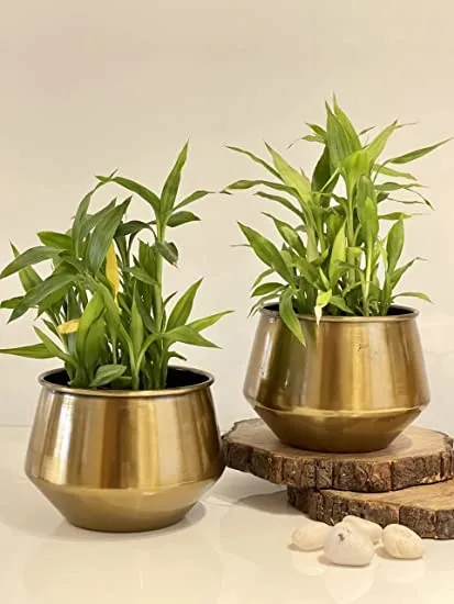 Metal pots
