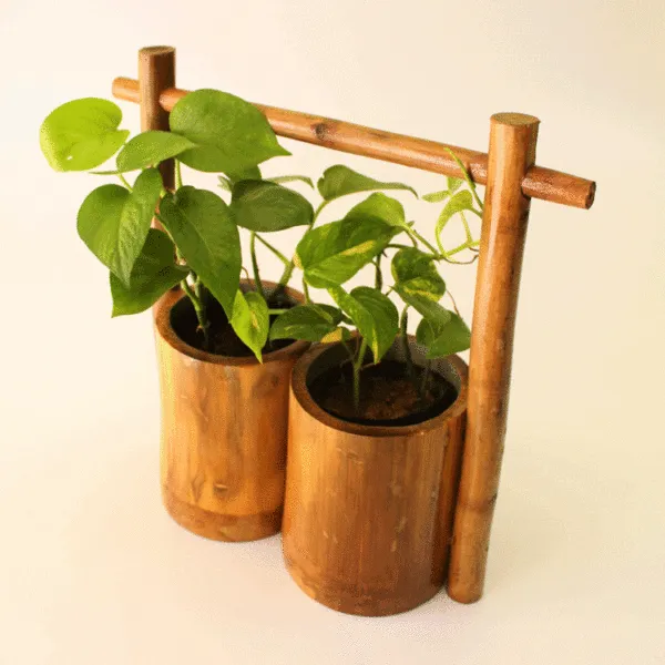 Bamboo pots