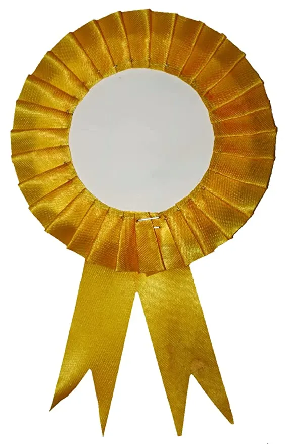 Costume Jewellery and Badges