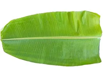 Banana leaves – Kela leaves