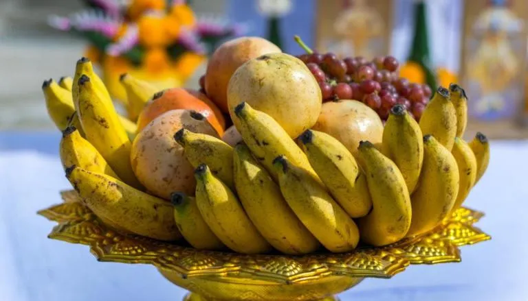 Fruits