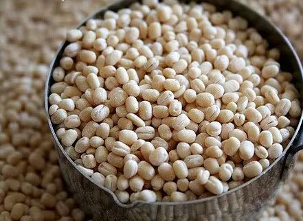 Minapa Gundu