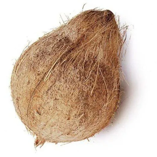 Buuru tiyani coconut