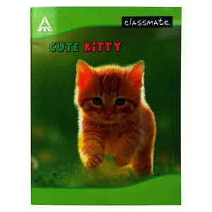 Classmate Nb225 Cbse Notebook Sq 1 Cm 172 Pages, 1 N